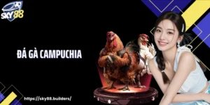 Đá Gà Campuchia: Đa Dạng Kèo Cược Từ Các Trận Đấu Hấp Dẫn