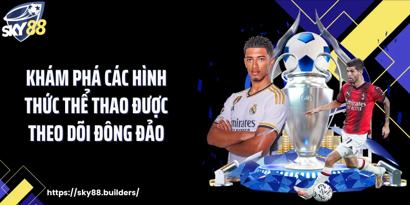 Khám phá các hình thức thể thao được theo dõi đông đảo