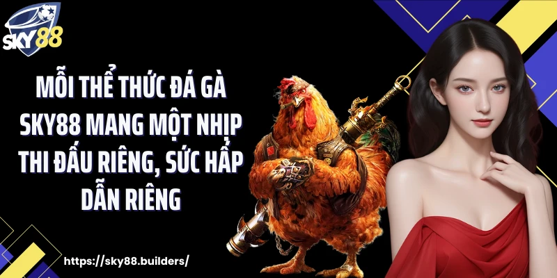 Mỗi thể thức đá gà SKY88 mang một nhịp thi đấu riêng, sức hấp dẫn riêng