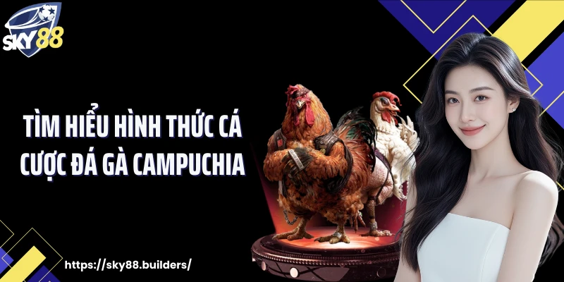Tìm hiểu hình thức cá cược đá gà Campuchia