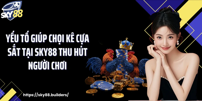 Yếu tố giúp chọi kê cựa sắt tại SKY88 thu hút người chơi